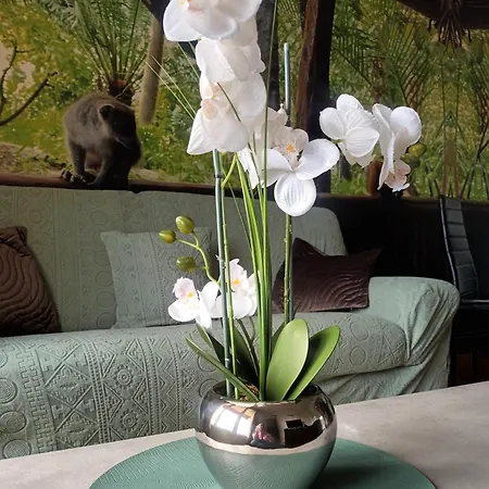 Apartman Escapade Nature Annecy